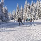 Wyjazdy na narty